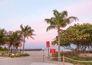 beach-with-tropical-trees-and-pier