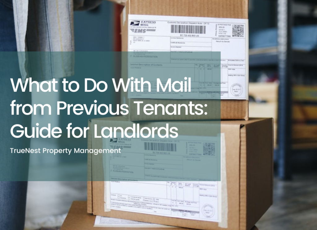 What to Do With Mail from Previous Tenants Guide for Landlords