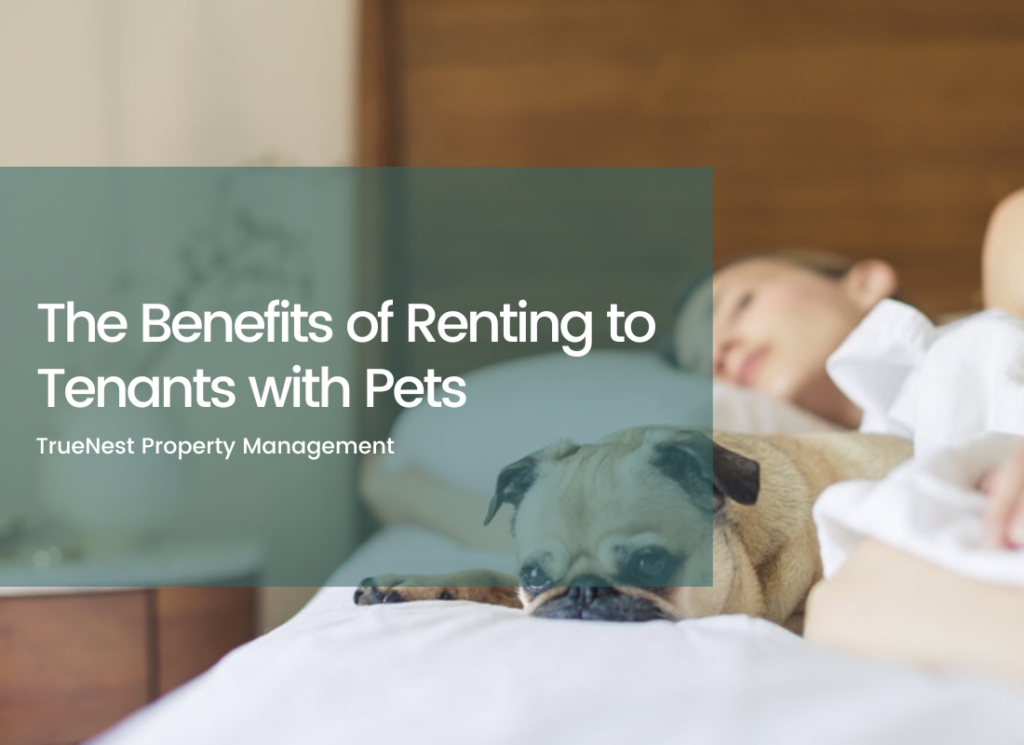 The Benefits of Renting to Tenants with Pets